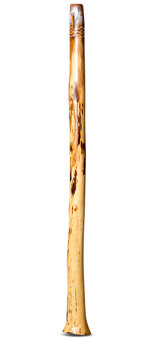 Kristian Benton Didgeridoo (KB355)